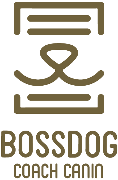 BossDog - Educateur canin - Lausanne et environs