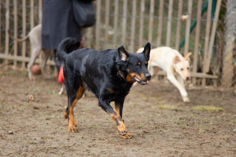 Jeux & Socialisation